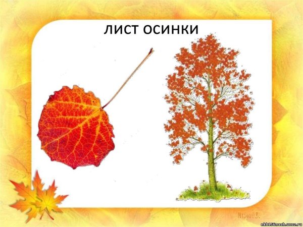 Осенняя осина для детей