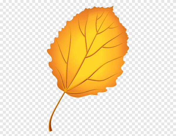 Осенние листья осины