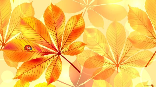 Осенние листья на желтом фоне