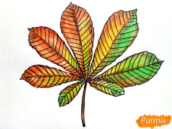 Лист каштана карандашом