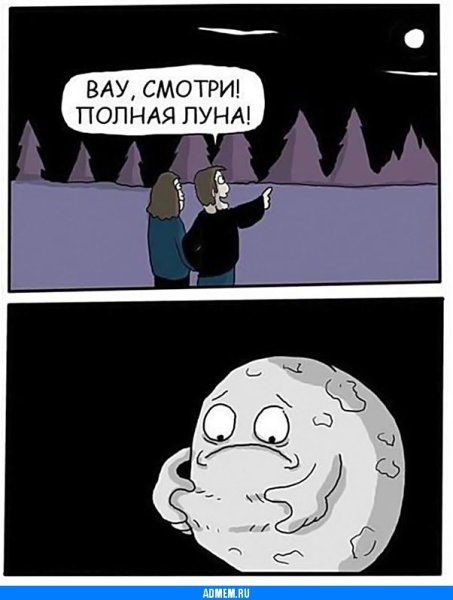 Полная Луна прикол