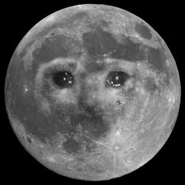 Луна с лицом