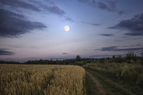 Луна в степи