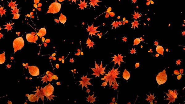 Осенний фон с падающими листьями