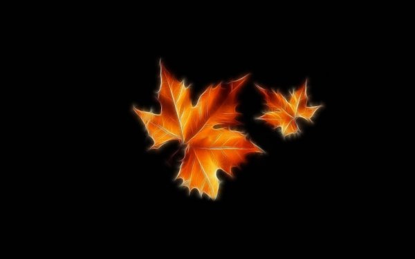 Кленовые листья на темном фоне