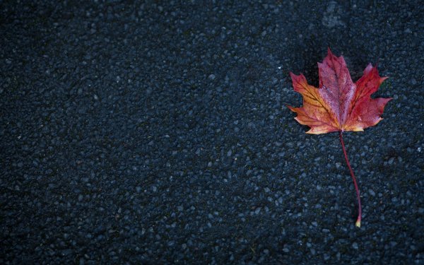 Осенний Минимализм