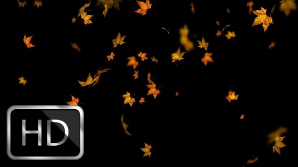 Падающие листья