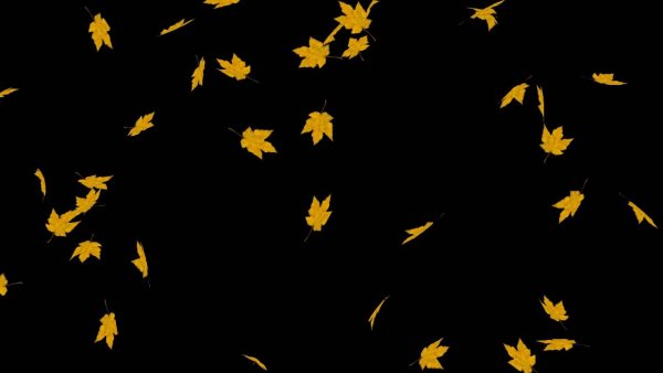 Осенняя листва на черном фоне