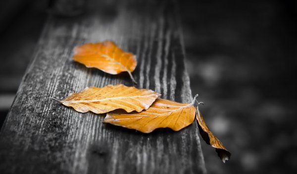 Лист на столе