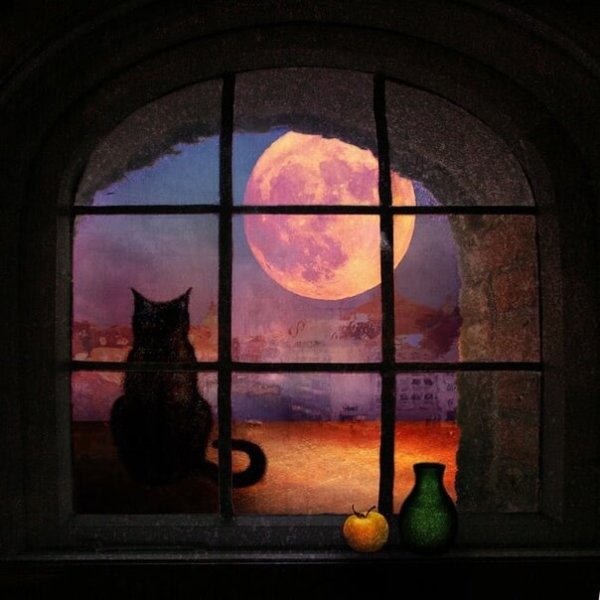 Луна за окном