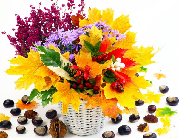 Букет из осенних цветов