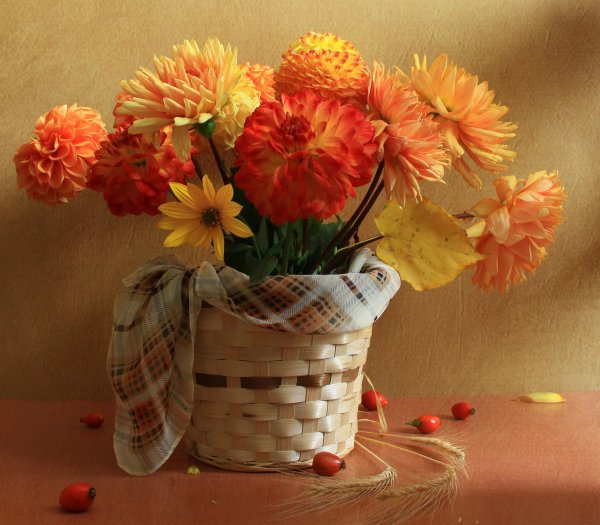 Ариэль Бюто цветы осени