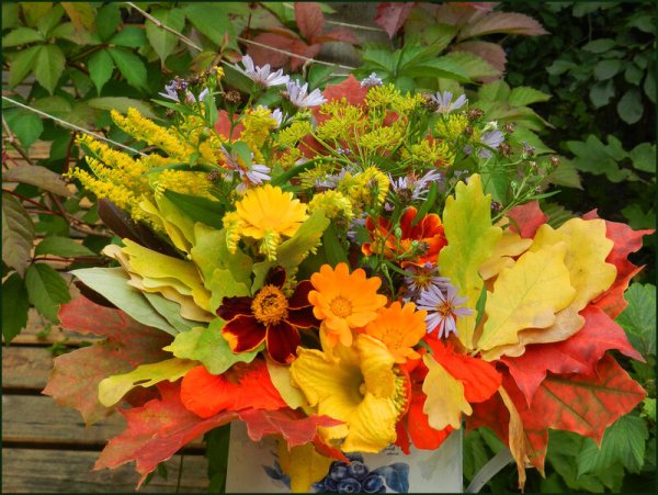 Букет "краски осени"