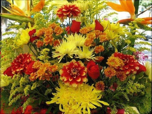 Осенние цветы