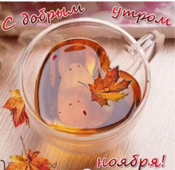 С добрым утром ноября