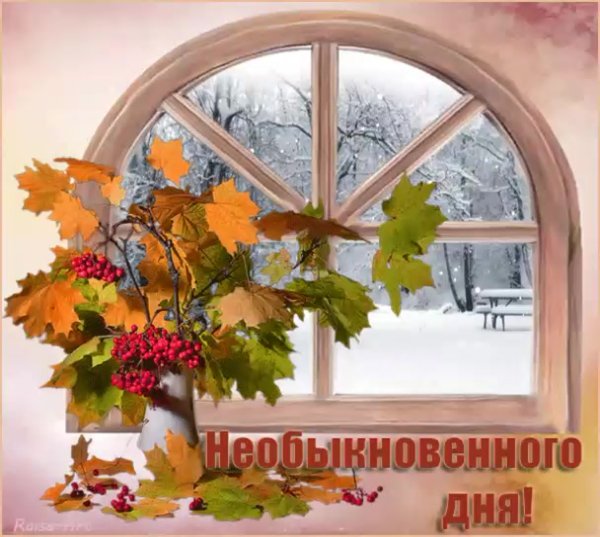 С добрым последним днем осени