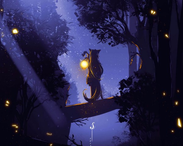 Светлячки ночью