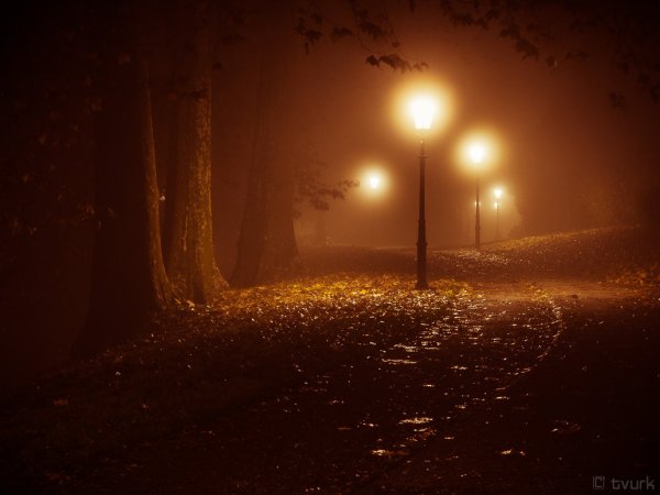 Осень ночь фонарь