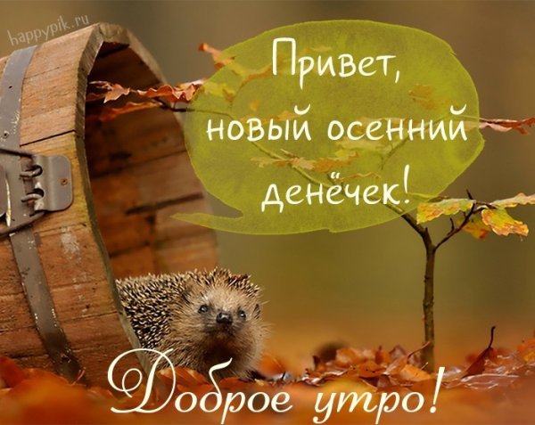 С добрым осенним утречком