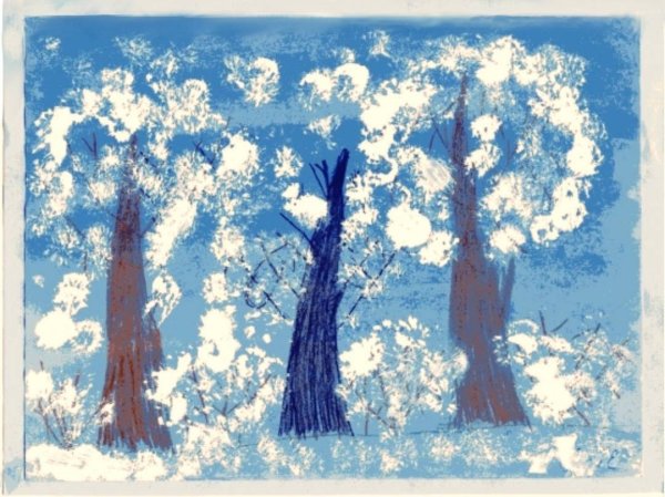 Рисование «деревья в инее» (т. с. Комарова, стр. 91)