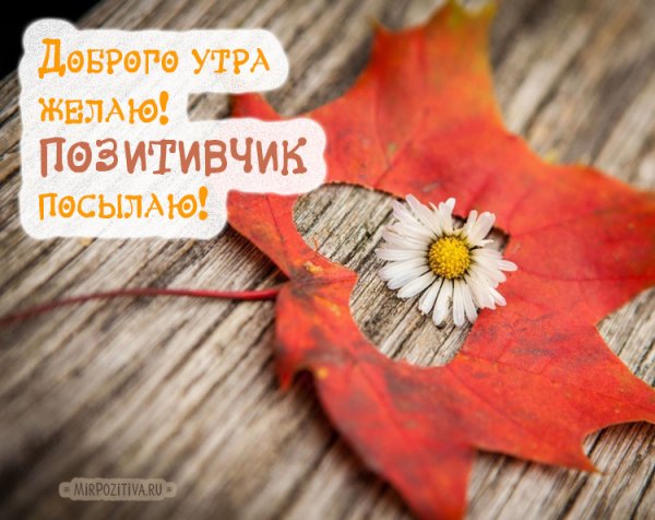 С добрым осенним утром прикольные