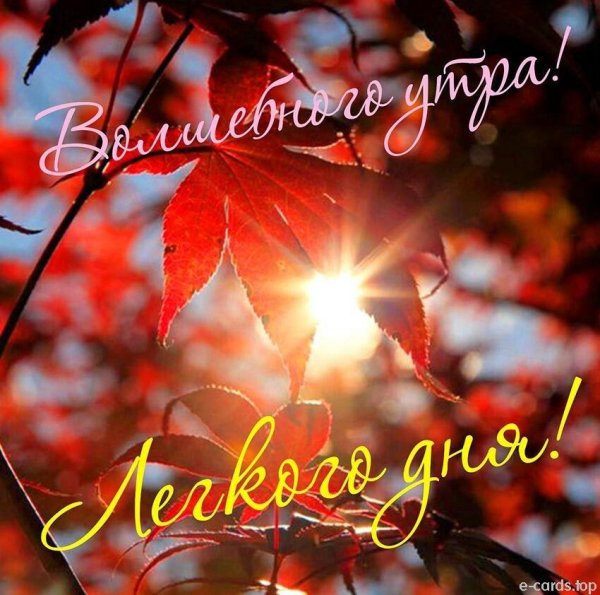 Доброе осеннее утро