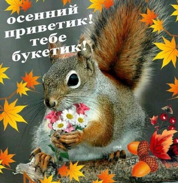 Осенний утренний привет
