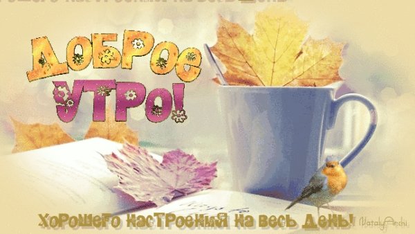 Доброе осеннее утро прикольные