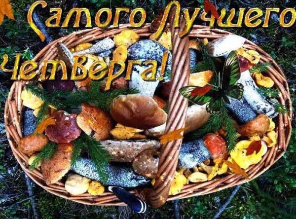 Открытки с добрым утром четверга осенние