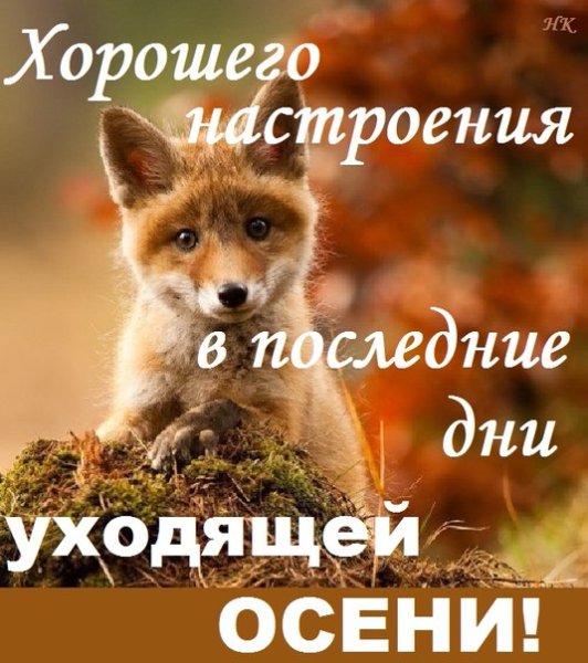 С последним днем осени доброе утро