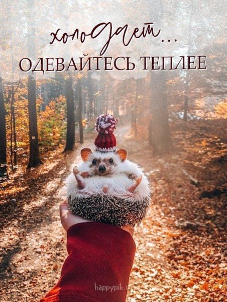 Ежик в шапочке осень