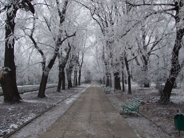 Поздняя Весна в городе