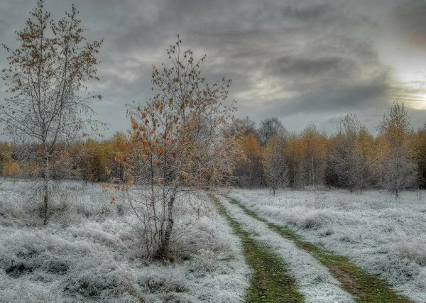 Ранняя зима