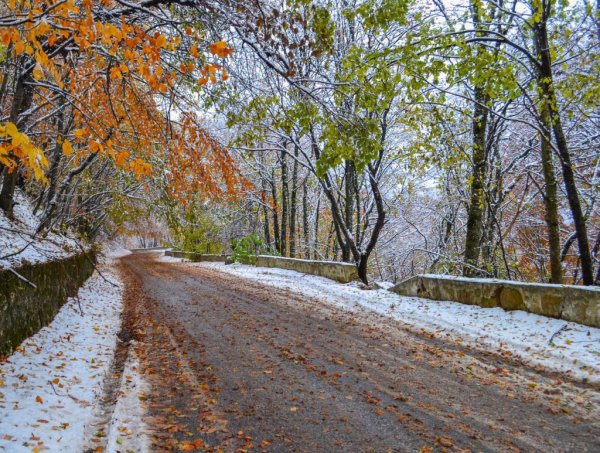 Осенний снег в городе