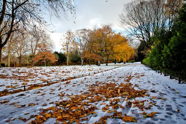 Осень ноябрь