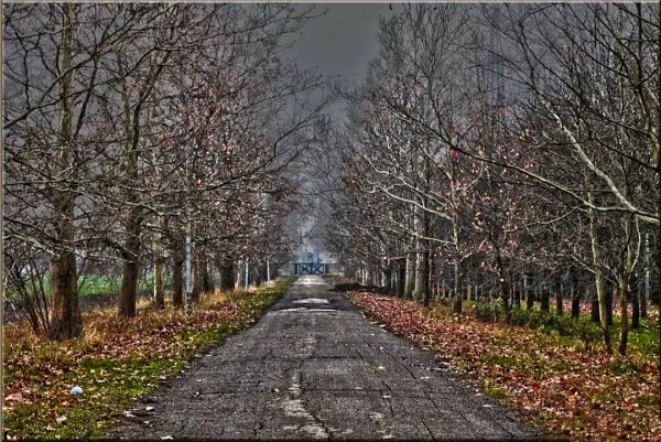 Зима без снега