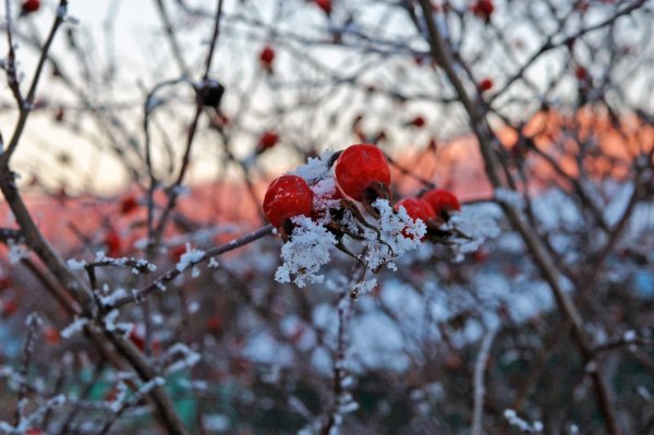 Октябрь. Природа. Заморозки