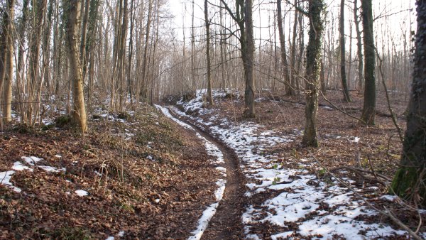 Зима без снега