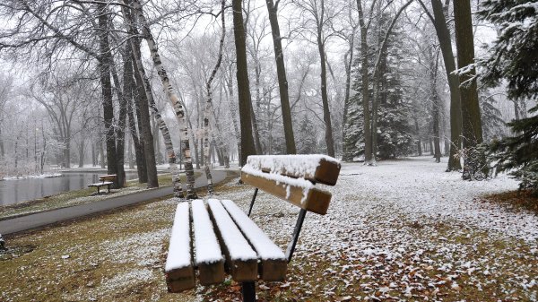 Парк поздняя осень