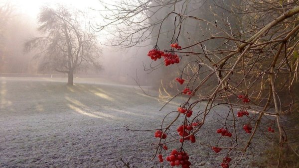 С добрым утром 1 декабря