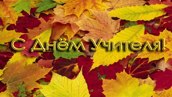 День учителя заставка