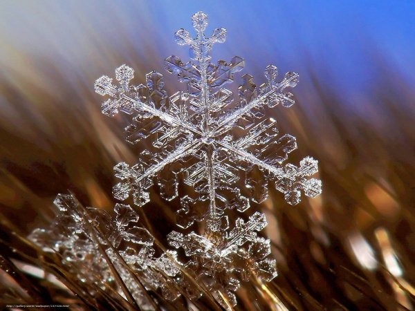 Снежинки в природе