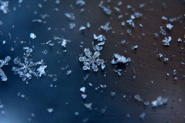 Снежинка Макросъемка