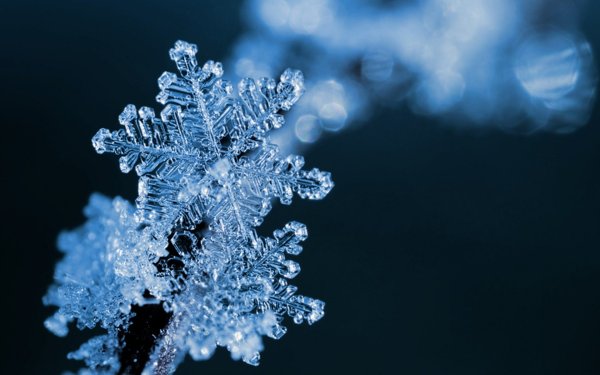 Снег Макросъемка