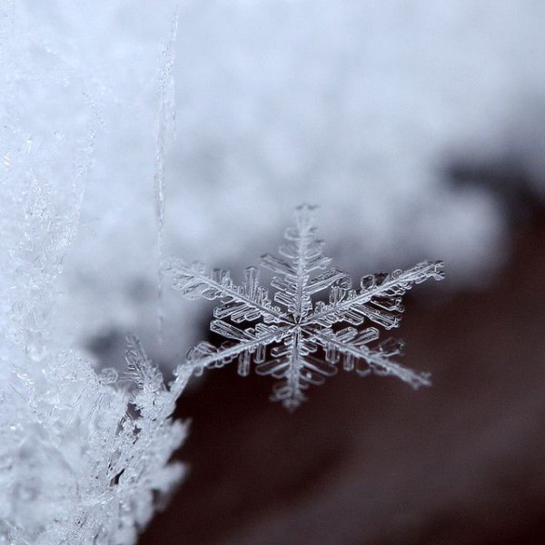 Зима снежинки