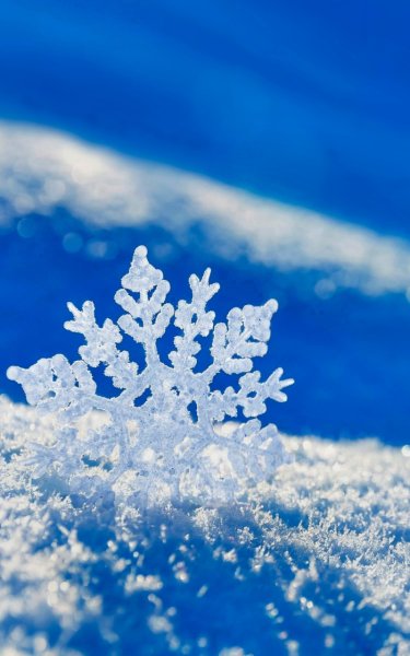 Снежинка картинка для детей на прозрачном фоне