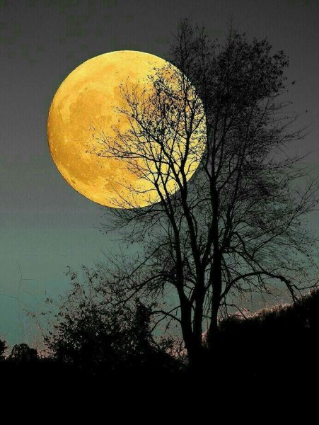 Красивая Луна