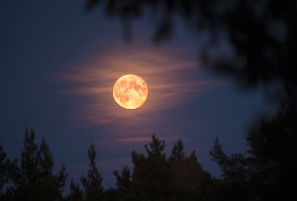 Суперлуние оранжевая Луна