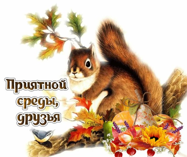 Открытки доброй среды