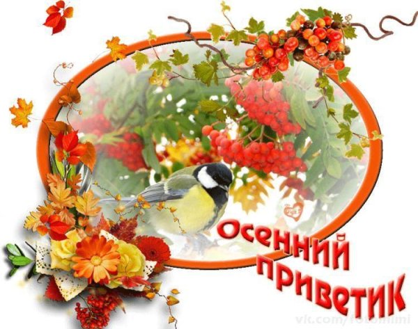 Осенний приветик цветы